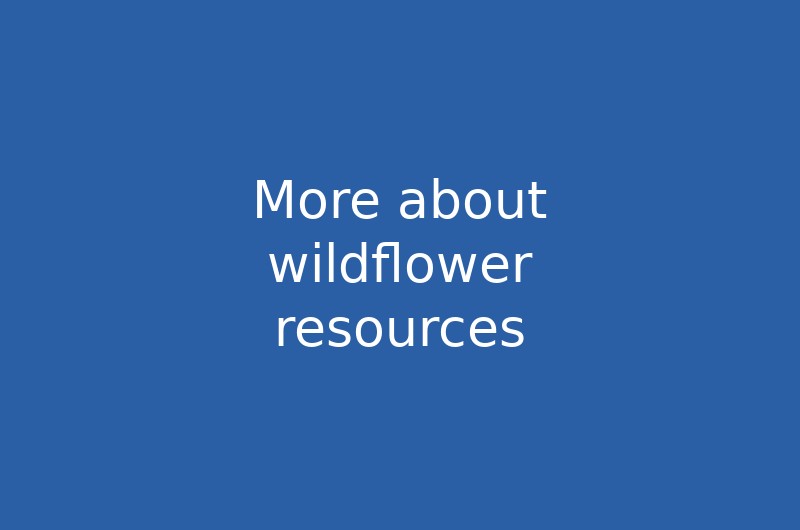 More about wildflower resources