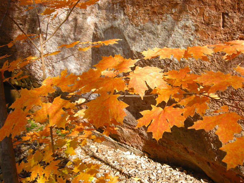 Red Rock Canyon, Caddo County