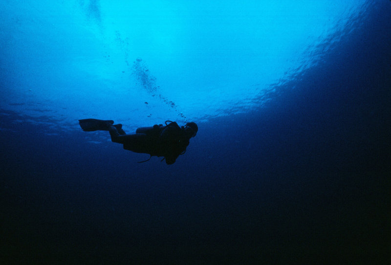 UW Dive Scenery