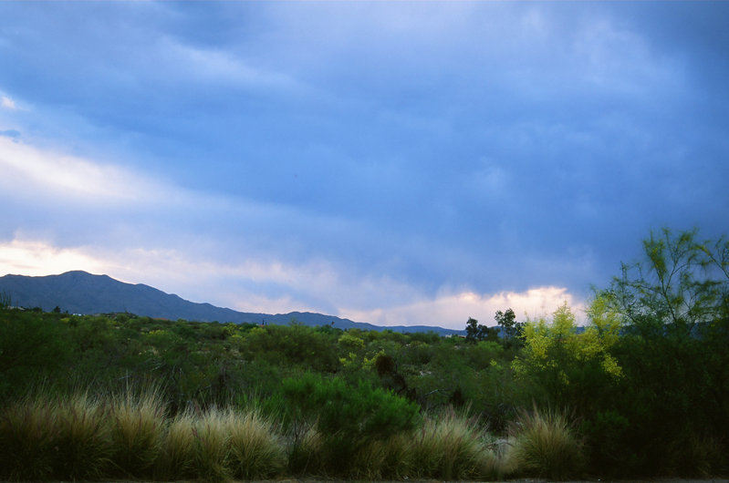 Arizona — Sedona & Saguaros