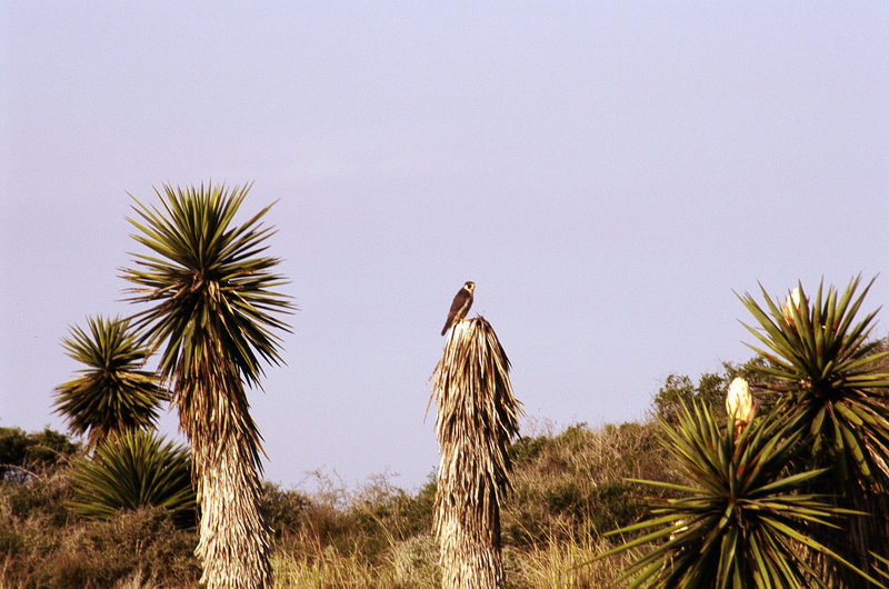 Texas — South Padre & Point Isabel